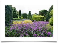 Topiary19 - Jackie Tucker